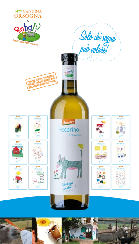 BIO Cantina Sociale Orsogna & Babalù Pecorino