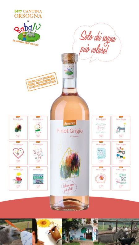 BIO Cantina Sociale Orsogna & Babalù<br> Pinot Grigio