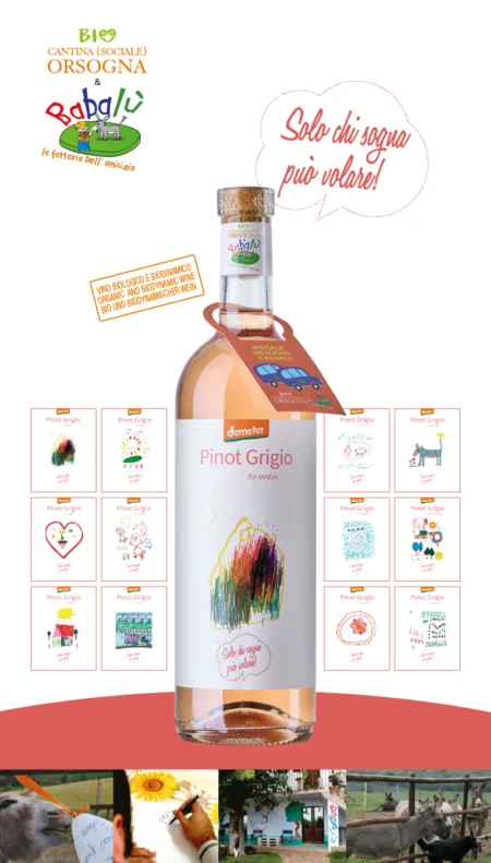BIO Cantina Sociale Orsogna & Babalù<br> Pinot Grigio