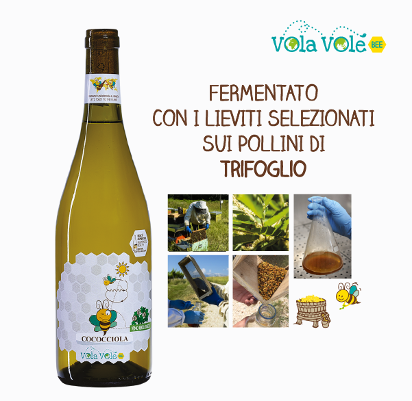 Vola Volé BEE Cococciola