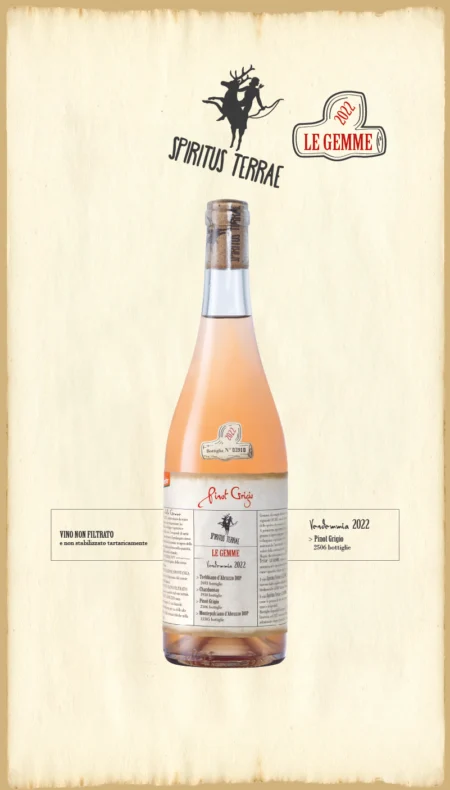 Spiritus Terrae - Le Gemme 2022<br> Pinot Grigio