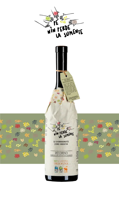 PÉ NIN PERDE LA SUMENTE  Pecorino