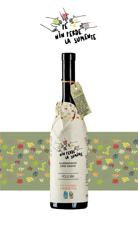 PÉ NIN PERDE LA SUMENTE <br> Polegra