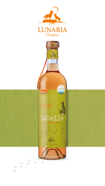 LUNARIA LABELLE malvasia orange