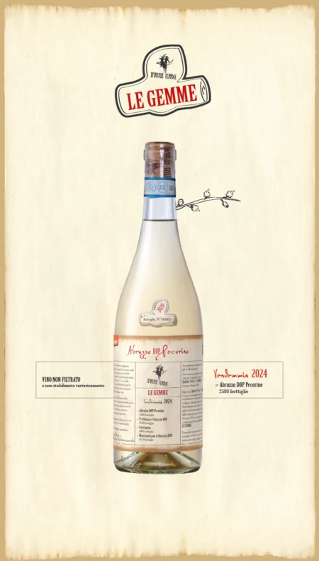 Spiritus Terrae - Le Gemme 2024<br> Abruzzo DOP Pecorino