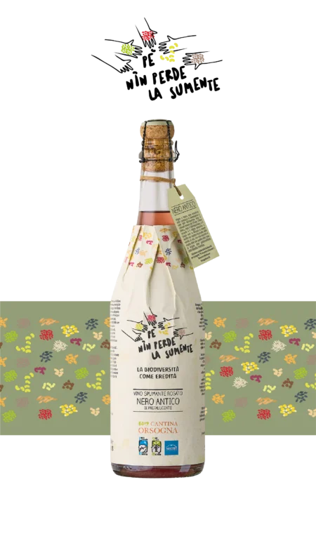 PÉ NIN PERDE LA SUMENTE <br> Spumante Nero Antico di Pretalucente