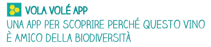 VolaVole APP_titolo -04 VolaVole APP_titolo -04