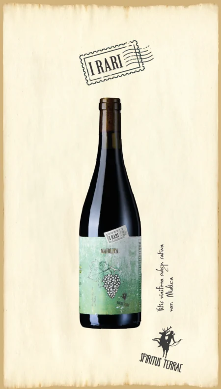 Spiritus Terrae - I Rari<br>Maiolica