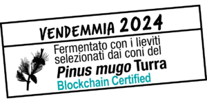 VVMNP LIEVITO_vedemmia 2024 bis VVMNP LIEVITO_vedemmia 2024 bis