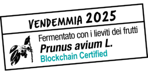 VVMNP LIEVITO_vendemmia 2025 VVMNP LIEVITO_vendemmia 2025