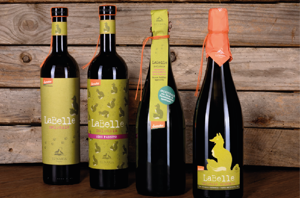 malvasia_pag pionieri-08