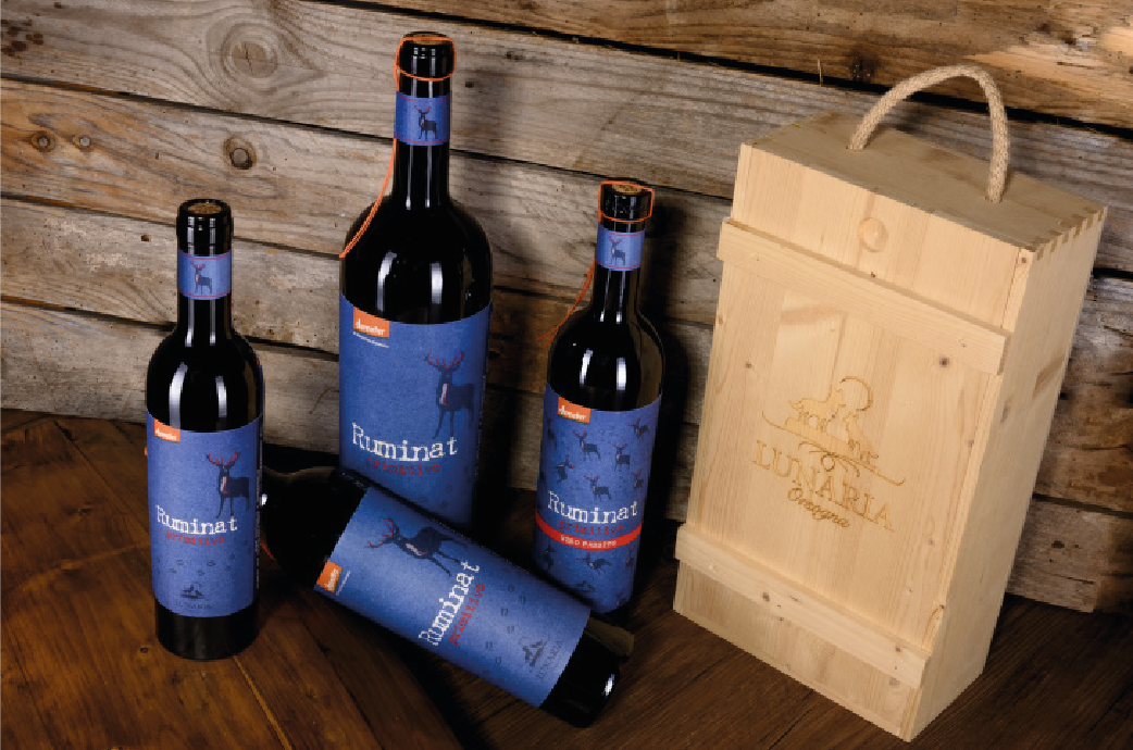 ruminat_pag pionieri-04